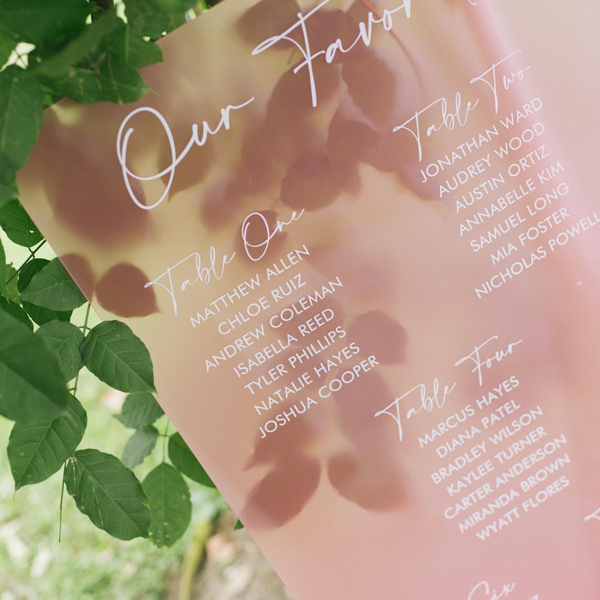 Pink Wedding Table Plan | UV Printed Guest Seating l Acrylic wedding sign thumbnail 2